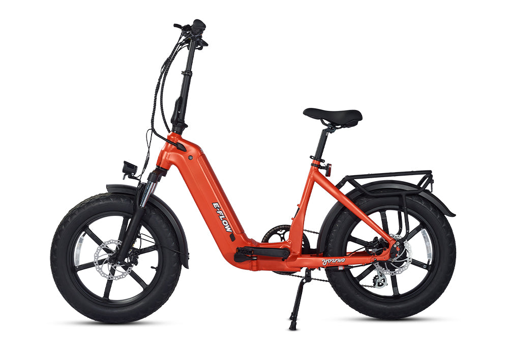 Young Electric E-Flow 750W Folding eBike | 20'' All-terrain Fat Tire With 48V20Ah BAFANG Battery, Up to 90 Miles, 28 MPH