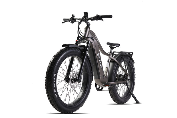 Young Electric Sample Ebikes Sales (Self-Pickup Only)